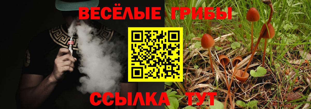 Псилоцибиновые грибы мицелий Приморско-Ахтарск