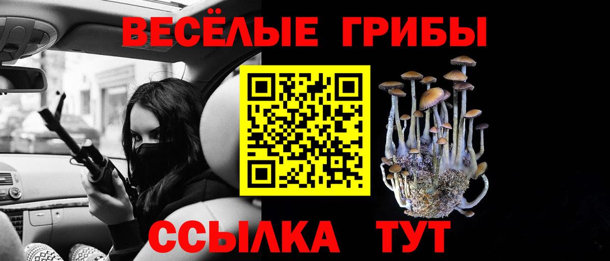 Приморско-Ахтарск  Псилоцибиновые грибы Psilocybe  Вход с VPN 